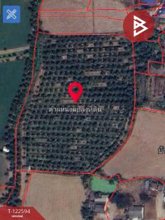 ขายที่ดิน เนื้อที่ 13 ไร่ 3 งาน 61.6 ตร.วา ปากท่อ ราชบุรี-202509260942411758854561914.jpg