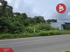 ขายที่ดิน เนื้อที่ 56 ไร่ 1 งาน 14 ตร.วา มะขาม จันทบุรี-202509260948501758854930515.jpg