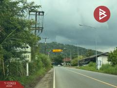 ขายที่ดิน เนื้อที่ 56 ไร่ 1 งาน 14 ตร.วา มะขาม จันทบุรี-202509260948521758854932506.jpg