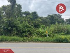 ขายที่ดิน เนื้อที่ 56 ไร่ 1 งาน 14 ตร.วา มะขาม จันทบุรี-202509260948531758854933056.jpg