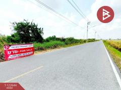 ขายที่ดิน เนื้อที่ 1 ไร่ 2 งาน 84 ตร.วา คลองนครเนื่องเขต ฉะเชิงเทรา-202509260955231758855323098.jpg