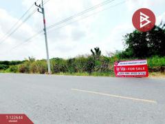 ขายที่ดิน เนื้อที่ 1 ไร่ 2 งาน 84 ตร.วา คลองนครเนื่องเขต ฉะเชิงเทรา-202509260955231758855323627.jpg