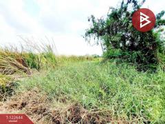 ขายที่ดิน เนื้อที่ 1 ไร่ 2 งาน 84 ตร.วา คลองนครเนื่องเขต ฉะเชิงเทรา-202509260955241758855324160.jpg