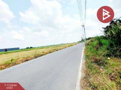 ขายที่ดิน เนื้อที่ 1 ไร่ 2 งาน 84 ตร.วา คลองนครเนื่องเขต ฉะเชิงเทรา-202509260955251758855325208.jpg