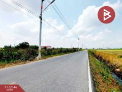 ขายที่ดิน เนื้อที่ 1 ไร่ 2 งาน 84 ตร.วา คลองนครเนื่องเขต ฉะเชิงเทรา-202509260955251758855325724.jpg