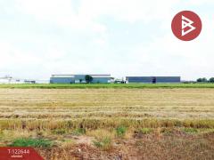 ขายที่ดิน เนื้อที่ 1 ไร่ 2 งาน 84 ตร.วา คลองนครเนื่องเขต ฉะเชิงเทรา-202509260955261758855326762.jpg