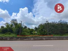 ขายที่ดินเปล่า เนื้อที่ 3 ไร่ 1 งาน 68 ตารางวา ติดถนนใหญ่ 4 เลน (เส้นพังโคน–บึงกาฬ) ศรีวิไล บึงกาฬ