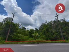 ขายที่ดินเปล่า เนื้อที่ 3 ไร่ 1 งาน 68 ตารางวา ติดถนนใหญ่ 4 เลน (เส้นพังโคน–บึงกาฬ) ศรีวิไล บึงกาฬ-202509261046091758858369681.jpg