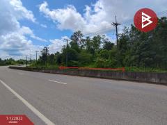 ขายที่ดินเปล่า เนื้อที่ 3 ไร่ 1 งาน 68 ตารางวา ติดถนนใหญ่ 4 เลน (เส้นพังโคน–บึงกาฬ) ศรีวิไล บึงกาฬ-202509261046101758858370209.jpg