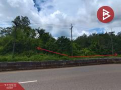 ขายที่ดินเปล่า เนื้อที่ 3 ไร่ 1 งาน 68 ตารางวา ติดถนนใหญ่ 4 เลน (เส้นพังโคน–บึงกาฬ) ศรีวิไล บึงกาฬ-202509261046111758858371813.jpg