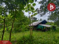 ขายที่ดินเปล่า เนื้อที่ 3 ไร่ 1 งาน 68 ตารางวา ติดถนนใหญ่ 4 เลน (เส้นพังโคน–บึงกาฬ) ศรีวิไล บึงกาฬ-202509261046131758858373464.jpg