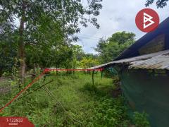 ขายที่ดินเปล่า เนื้อที่ 3 ไร่ 1 งาน 68 ตารางวา ติดถนนใหญ่ 4 เลน (เส้นพังโคน–บึงกาฬ) ศรีวิไล บึงกาฬ-202509261046141758858374080.jpg