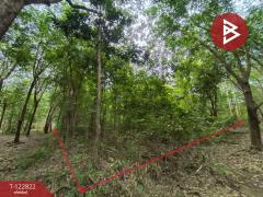 ขายที่ดินเปล่า เนื้อที่ 3 ไร่ 1 งาน 68 ตารางวา ติดถนนใหญ่ 4 เลน (เส้นพังโคน–บึงกาฬ) ศรีวิไล บึงกาฬ-202509261046151758858375145.jpg