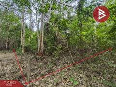 ขายที่ดินเปล่า เนื้อที่ 3 ไร่ 1 งาน 68 ตารางวา ติดถนนใหญ่ 4 เลน (เส้นพังโคน–บึงกาฬ) ศรีวิไล บึงกาฬ-202509261046151758858375701.jpg