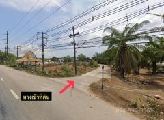 ขายที่ดิน 2 แปลงติดกัน (2 โฉนด) ต.ปกาสัย อ.เหนือคลอง จ.กระบี่ ทำเลดี ติดถนนเพชรเกษม Tel 094-996-3362-202509261128341758860914714.jpg