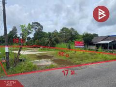 ขายที่ดิน เนื้อที่ 2 งาน 80.9 ตร.วา หนองบัว จันทบุรี