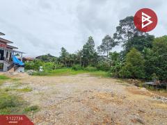 ขายที่ดิน เนื้อที่ 2 งาน 80.9 ตร.วา หนองบัว จันทบุรี-202509261131251758861085240.jpg