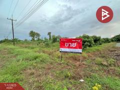 ขายที่ดิน เนื้อที่ 8 ไร่ 3 งาน 91.9 ตารางวา สอยดาว จันทบุรี ใกล้วัดสว่างอารมณ์