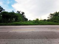 ขาย ที่ดินเปล่า จัตุรัส ชัยภูมิ ถนน จัตุรัส-หนองบัวระเหว