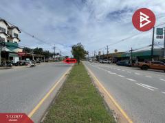  ขายที่ดิน เนื้อที่ 3 งาน 75.3 ตร.วา ในเมือง ขอนแก่น-202509261233401758864820472.jpg