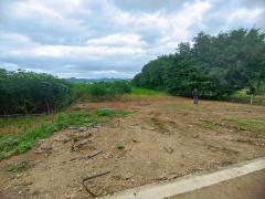 ขายที่ดินเปล่า เนื้อที่ 3-1-51.2 ไร่ ใกล้เขื่อนศรีสวัสดิ์ จ.กาญจนบุรี