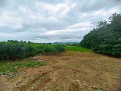 ขายที่ดินเปล่า เนื้อที่ 3-1-51.2 ไร่ ใกล้เขื่อนศรีสวัสดิ์ จ.กาญจนบุรี-202509261247141758865634941.jpg