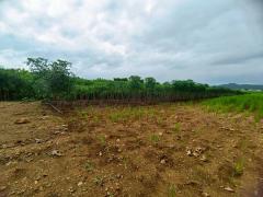 ขายที่ดินเปล่า เนื้อที่ 3-1-51.2 ไร่ ใกล้เขื่อนศรีสวัสดิ์ จ.กาญจนบุรี-202509261247161758865636264.jpg