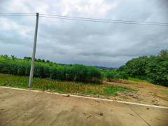 ขายที่ดินเปล่า เนื้อที่ 3-1-51.2 ไร่ ใกล้เขื่อนศรีสวัสดิ์ จ.กาญจนบุรี-202509261247161758865636785.jpg