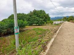 ขายที่ดินเปล่า เนื้อที่ 3-1-51.2 ไร่ ใกล้เขื่อนศรีสวัสดิ์ จ.กาญจนบุรี-202509261247171758865637835.jpg