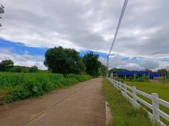 ขายที่ดินเปล่า เนื้อที่ 3-1-51.2 ไร่ ใกล้เขื่อนศรีสวัสดิ์ จ.กาญจนบุรี-202509261247181758865638367.jpg