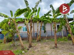 ขายบ้านเดี๋ยวชั้นเดียว เนื้อที่ 100 ตารางวา ลำปลาทิว กรุงเทพมหานคร-202509261421261758871286018.jpg