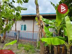 ขายบ้านเดี๋ยวชั้นเดียว เนื้อที่ 100 ตารางวา ลำปลาทิว กรุงเทพมหานคร-202509261421301758871290609.jpg