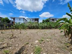 ขายที่ดิน แจ้งวัฒนะ ปากเกร็ด นนทบุรี 2 ไร่กว่า ใกล้ MRT สีชมพู เซ็นทรัลแจ้งวัฒนะ-202509261437301758872250942.jpg