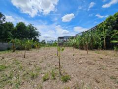 ขายที่ดิน แจ้งวัฒนะ ปากเกร็ด นนทบุรี 2 ไร่กว่า ใกล้ MRT สีชมพู เซ็นทรัลแจ้งวัฒนะ-202509261437311758872251941.jpg