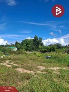  ขายที่ดิน เนื้อที่ 2 ไร่ 3 งาน 20 ตร.วา สารภี เชียงใหม่-202509261442311758872551589.jpg