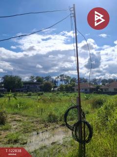  ขายที่ดิน เนื้อที่ 2 ไร่ 3 งาน 20 ตร.วา สารภี เชียงใหม่-202509261442321758872552105.jpg