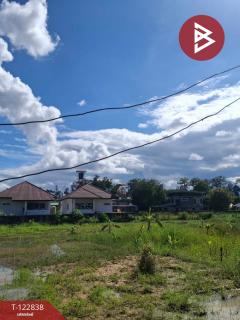  ขายที่ดิน เนื้อที่ 2 ไร่ 3 งาน 20 ตร.วา สารภี เชียงใหม่-202509261442321758872552620.jpg