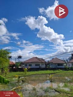  ขายที่ดิน เนื้อที่ 2 ไร่ 3 งาน 20 ตร.วา สารภี เชียงใหม่-202509261442331758872553138.jpg