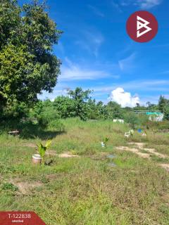  ขายที่ดิน เนื้อที่ 2 ไร่ 3 งาน 20 ตร.วา สารภี เชียงใหม่-202509261442331758872553657.jpg