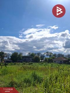  ขายที่ดิน เนื้อที่ 2 ไร่ 3 งาน 20 ตร.วา สารภี เชียงใหม่-202509261442341758872554325.jpg