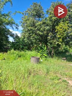  ขายที่ดิน เนื้อที่ 2 ไร่ 3 งาน 20 ตร.วา สารภี เชียงใหม่-202509261442341758872554840.jpg