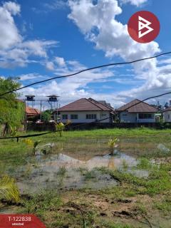  ขายที่ดิน เนื้อที่ 2 ไร่ 3 งาน 20 ตร.วา สารภี เชียงใหม่-202509261442351758872555369.jpg