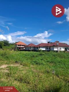  ขายที่ดิน เนื้อที่ 2 ไร่ 3 งาน 20 ตร.วา สารภี เชียงใหม่-202509261442351758872555887.jpg