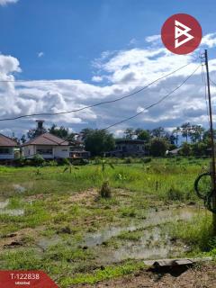  ขายที่ดิน เนื้อที่ 2 ไร่ 3 งาน 20 ตร.วา สารภี เชียงใหม่-202509261442361758872556941.jpg