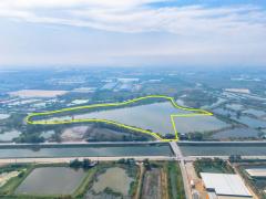 ขายที่สีม่วง 46 ไร่ ใกล้ถนนเลียบมอเตอร์เวย์ สาย 7 ใกล้นิคมอมตะ ชลบุรี  ต.บางนาง อ.พานทอง จ.ชลบุรี-202509261446551758872815755.jpg