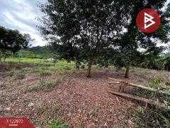 ขายที่ดิน เนื้อที่ 1 ไร่ มะขาม จันทบุรี-202509261457341758873454296.jpg