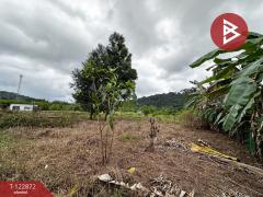 ขายที่ดิน เนื้อที่ 1 ไร่ มะขาม จันทบุรี-202509261457351758873455178.jpg