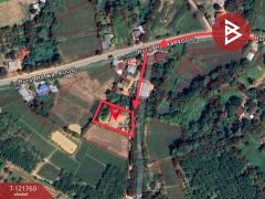 ขายบ้านเดี่ยว เนื้อที่ 3 งาน 59.6 ตารางวา นครไทย พิษณุโลก-202509261458071758873487756.jpg