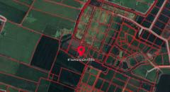 ขายที่ดิน เนื้อที่ 3 งาน 78.6 ตารางวา ต.ตะค่า อ.บางปลาม้า จ.สุพรรณบุรี-202509261459211758873561811.jpg