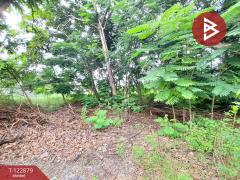 ขายที่ดิน ในสนามกอล์ฟรอยัลกอล์ฟลาดกระบัง-อ่อนนุช เนื้อที่ 3 งาน 66 ตร.วา บางเสาธง สมุทรปราการ-202509261539351758875975663.jpg